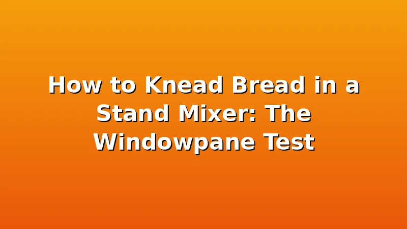 How to Knead Bread in a Stand Mixer: The Windowpane Test - DoughVibe review with measurements and honest opinion